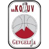 https://img.ariellecm.com/img/basketball/team/4b06fe02aaa7da5901e5698485059da0.png