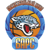 https://img.ariellecm.com/img/basketball/team/9008e0eb5cdc9f3e587e5838c6201832.png