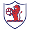 https://img.ariellecm.com/img/football/team/11fb72f7b5eacfc881ee11bac75871fa.png