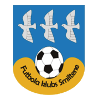 https://img.ariellecm.com/img/football/team/259a1106a33b56d2bb3c458a62ffa2ea.png