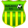 https://img.ariellecm.com/img/football/team/3dfa700c1f084e5a18fc926d6f7ae427.png