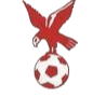 https://img.ariellecm.com/img/football/team/4802d26df935b78bb2fcdbbff36e8864.png